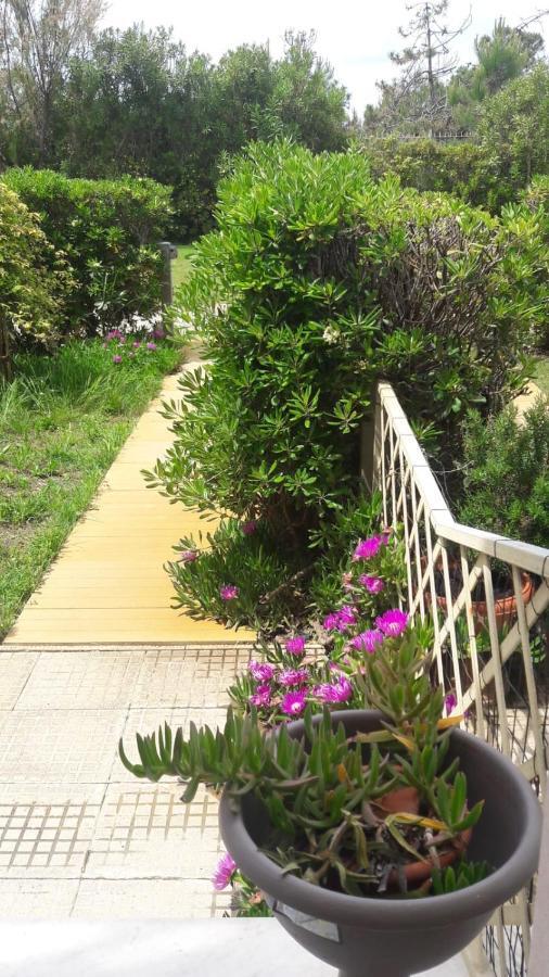 Sea Beach Relax ตีร์เรเนีย ภายนอก รูปภาพ